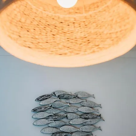 Argus Dream * Costa Nova