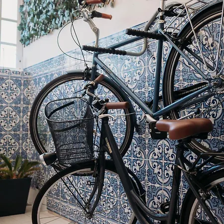 Argus Dream * Costa Nova